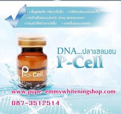 ٻҾ2 ͧԹ : PCell ѵ鹿ҾǨҡHA + DNA ͹ .P.D.R.N ҡ P-CellبԻ͹ ˹мǻѧ ¹´Ẻէ չչ 觵֧Ŵ´ҧ Шҡ٢鹢