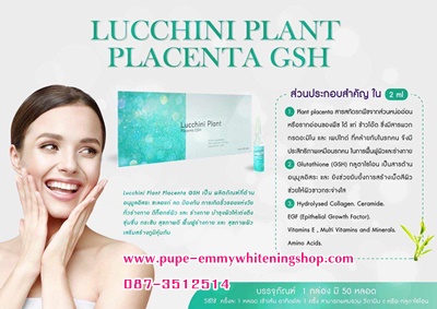 ٻҾ2 ͧԹ : Lucchini Plant PlacentaGSH ҹ͹  Ŵ ͧѹ Դ´ա͡  ҧ ا觵֧鹿ҧ  آҾ