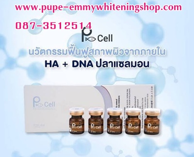 ٻҾ3 ͧԹ : PCell ѵ鹿ҾǨҡHA + DNA ͹ .P.D.R.N ҡ P-CellبԻ͹ ˹мǻѧ ¹´Ẻէ չչ 觵֧Ŵ´ҧ Шҡ٢鹢