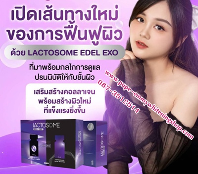 ٻҾ3 ͧԹ : Lactosome Edel Exo exoxome 1500 Billion ()˹֡дѺ