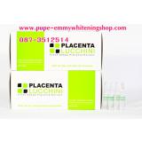 Lucchini Fresh Sheep Placenta Extract New ͧ   شҧ Ǽ ا ͺѺǾóҧԧ