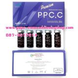 Premium PPC.C (Korea)ѹ͡੾ǹ ТѺ͡ҧó СӨѴѹ ǡЪѺ㹵ǪкҼҭѧҹդ